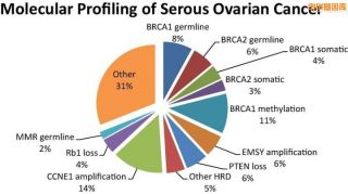 卵巢癌基因因素
